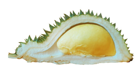 durian fruit with cut in half