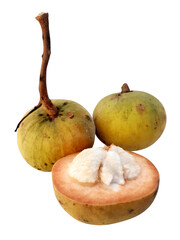 Santol fruit cut into half