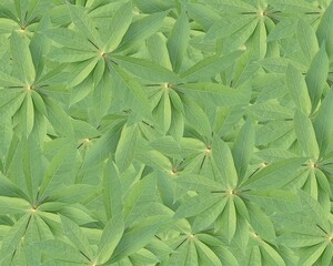 green leaves background