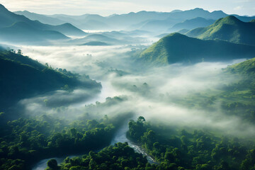 Fototapeta premium landscape with fog