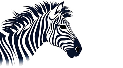 Fototapeta na wymiar Zebra head and neck illustration isolated on white background.