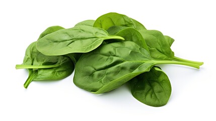 Spinach on white background