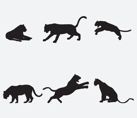 Set of Tiger Silhouettes. Vector