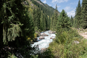 Abetos y río
