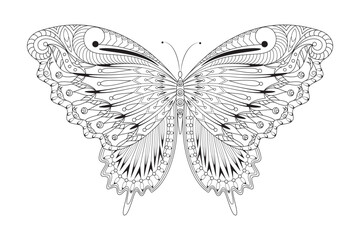 Vector Butterfly Illustration