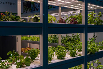 Artificial light sources for production of greenhouse plants，Shanghai，China