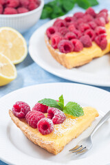 Piece of lemon tart on white plate, garnished with fresh raspberry, icing sugar, mint, vertical