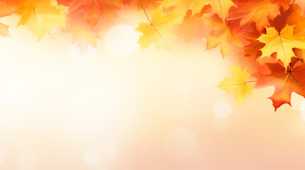 Naklejka na ściany i meble Autumn maple leaves decorative composition with copyspace