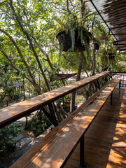 The wooden terrace with the long bench and tropical plant.