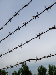 Closeup of the barbed wire stretched in the twilight time.