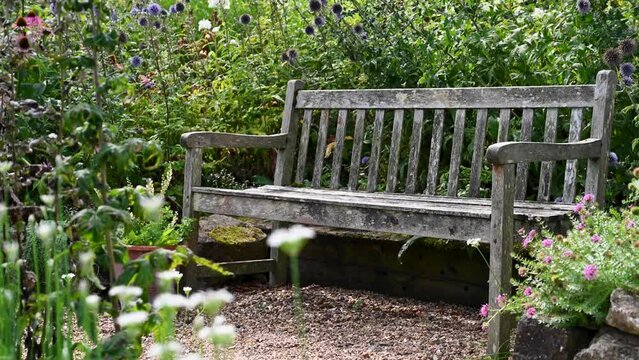 English blooming summer garden with an old bench. Relaxing and calming place.