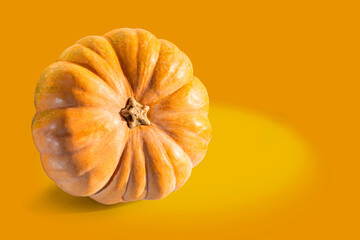 Ripe fresh pumpkin. Squash orange vegetable autumn fruit for food health benefits, or traditional Halloween decoration or a Thanksgiving fall design