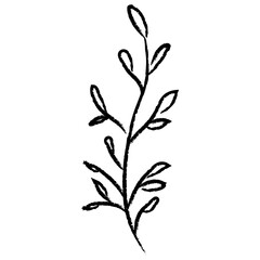 flower leaf hand drawn,tree branch element