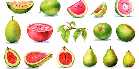Set of fruit watercolor style.