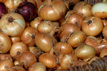 dried onion