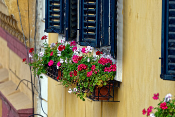 Old Town Sibiu Romania with flowers at windows - obrazy, fototapety, plakaty