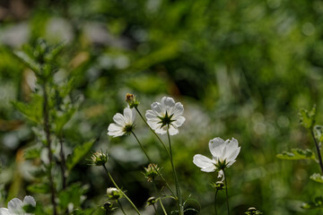 On the other side of the mirror