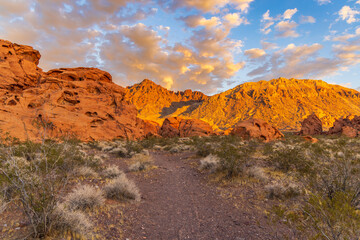 Obraz premium landscape in the mountains