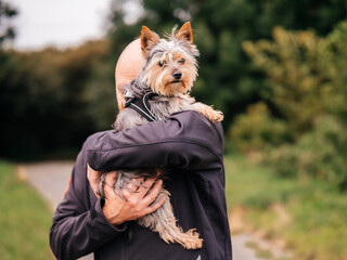 Man holding cute little Yorkshire terrier in his hands in a park. Beautiful scene with expression...