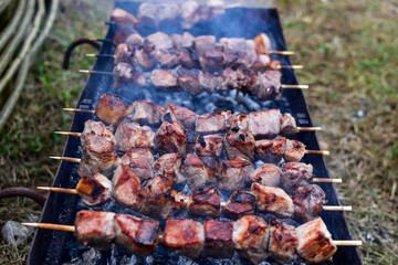 Vacation, picnic, barbecue