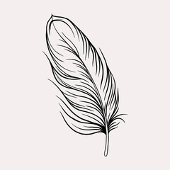 Feather tattoo illustration 
