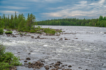 Northern river in dense green forest with cloudy sky.
