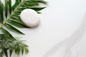 white stone with green leaves on a white stone background. The concept of beauty and health
