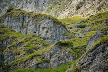 Beautiful mountain terrain in Bucegi National Park  Mountain landscape with green meadow and sharp rocks.