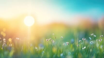 Fototapeta na wymiar spring background with grass and sun 