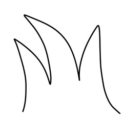 illustration of a leaf