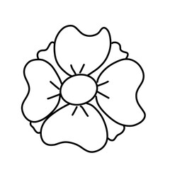 flower isolated on white