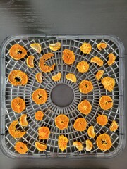 Dehydrated oranges on a tray