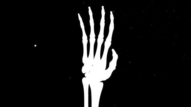 3d Skeletal hand. Looping. Alpha channel included