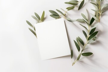 Blank greeting card, invitation mock-up scene with blooming green olive tree leaves, branch isolated on white table background in sunlight. Ligts and shadows. Summer Mediterranean lay, Generative AI