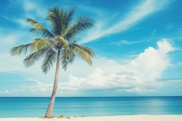 Fototapeta na wymiar Palm tree on tropical beach with blue sky