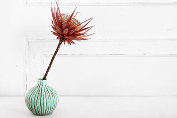 Vase with dried red protea on white table