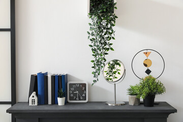 Mirror, houseplants, books and clock on fireplace in living room