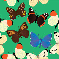 Seamless common butterfly pattern with green background