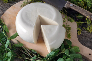 A cheese on a wooden board with green herbs background. Georgian cheese sulguni