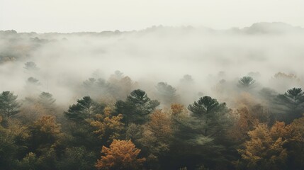 Generative AI, Misty autumn fir forest beautiful landscape in hipster vintage retro style, foggy mountains and trees.	