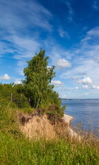 Fototapeta na wymiar The bank of a large river with trees on the background of a blue sky with clouds in summer
