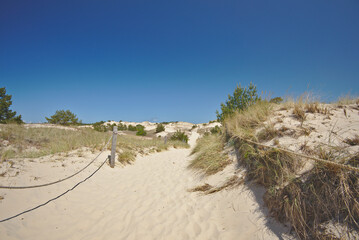 View of endless wandering sand dunes in sunny ,sommer day. Wydma Czolpinska, Slowinski National Park on the Baltic Sea in northern Poland. - obrazy, fototapety, plakaty
