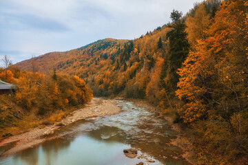 Autumn's Serenade: A Serene River Journey Through the Enchanting Forest