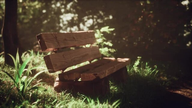 Wooden bench in the city in spring under the sun