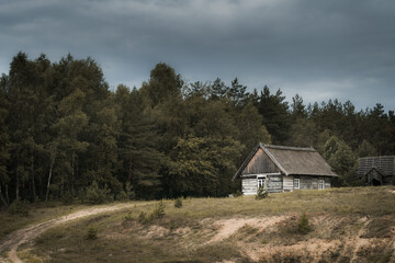 Fototapeta na wymiar Old wooden house in the forest on a cloudy day. Toned.