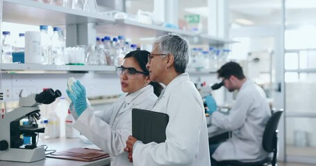 Science, mentor and research with people in laboratory for learning, medical and vaccine. Training, internship and healthcare study with student and professor for solution, biotechnology and teamwork - Powered by Adobe