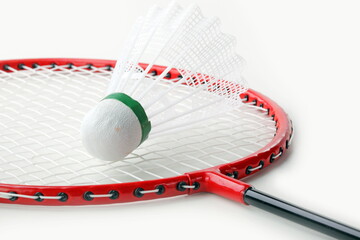 The badminton