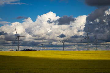 Farma wiatrowa na polu rzepaku na tle obłoków © Łukasz Grabałowski