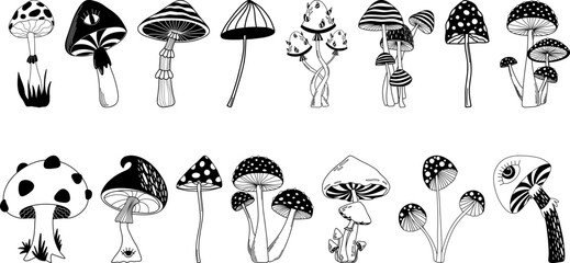 Mystical boho mushrooms vector set, magic fantasy mushroom clipart, witchcraft symbol, witchy esoteric objects, mystical floral elements - 641853577