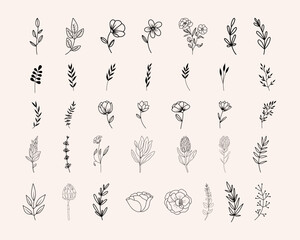 Botanical line art clipart, hand drawn herbs, flowers, leaves and branches, vector illustration - 641853579